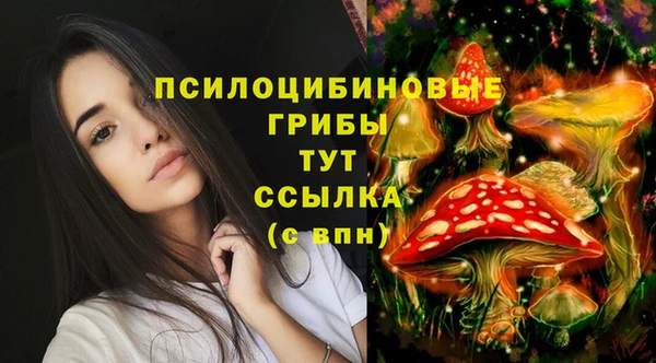 мет Алексеевка