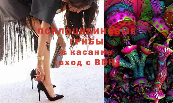 молекула духа Алзамай