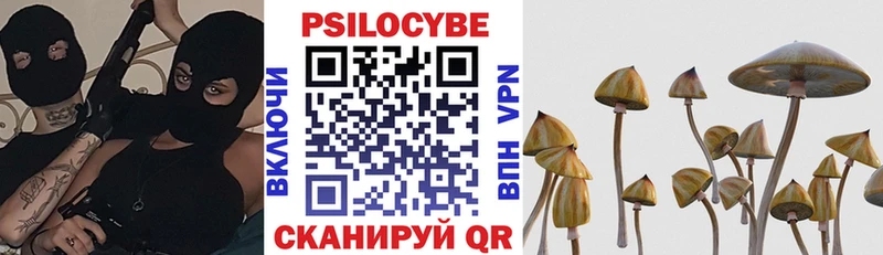 где можно купить   Грязи  Галлюциногенные грибы Psilocybine cubensis 