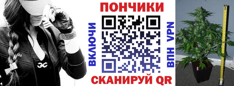 купить закладку  Грязи  МАРИХУАНА план 